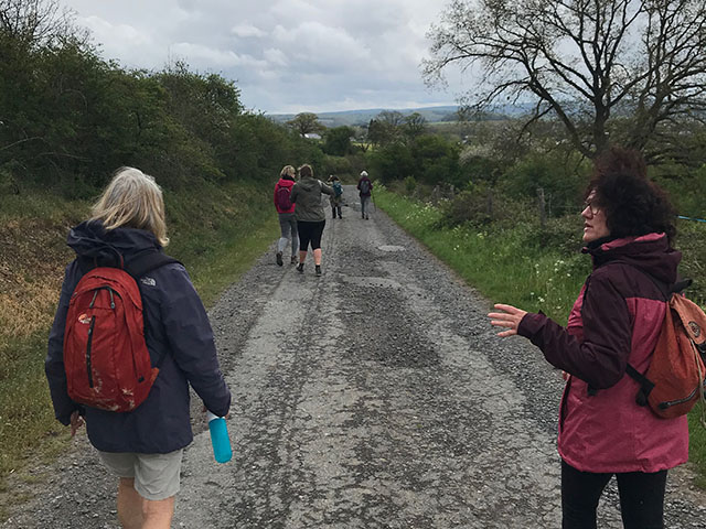 Photo d'un groupe d'adultes marchant sur une petite route lors d'une randonnée