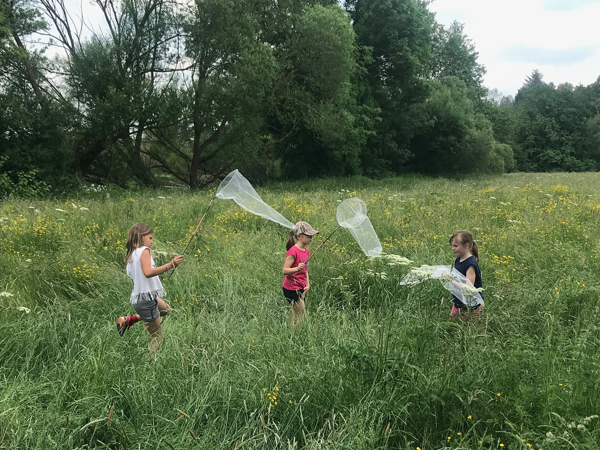 Photo d'enfants essayant d'attraper des papillons avec des filets durant un stage d'été
