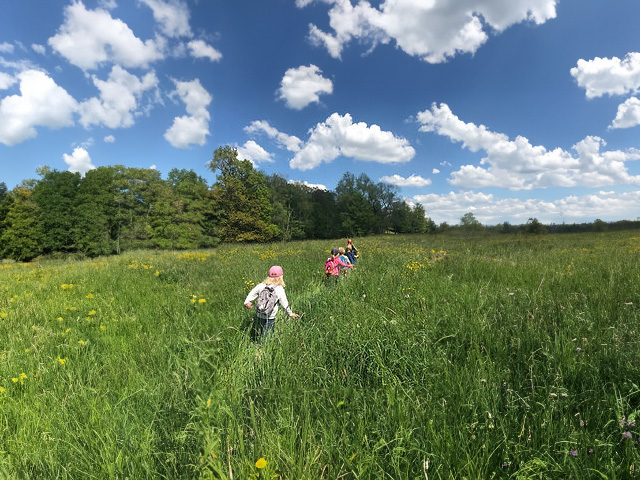 Photo d'enfants se promenant dans un champs durant une activité du club nature